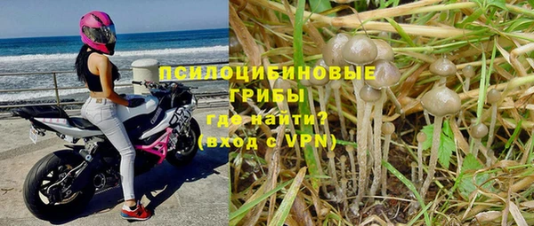 а пвп мука Фурманов