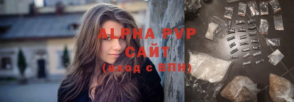 индика Елизово