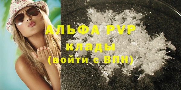 индика Елизово