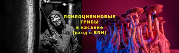 герыч Ельня