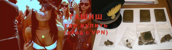 индика Елизово