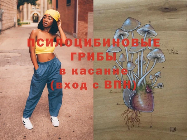 индика Елизово