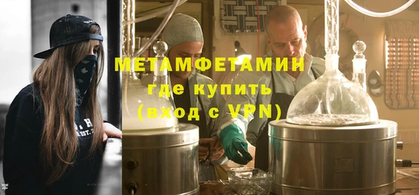 индика Елизово