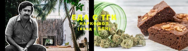 индика Елизово