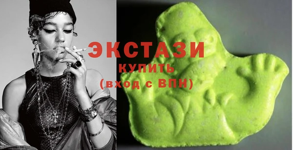 индика Елизово